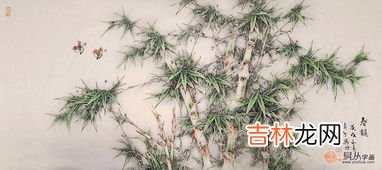 竹子实际是什么,竹子究竟是什么类别的植物，是一种树木还是草？