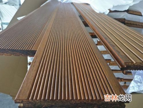 竹子实际是什么,竹子究竟是什么类别的植物，是一种树木还是草？