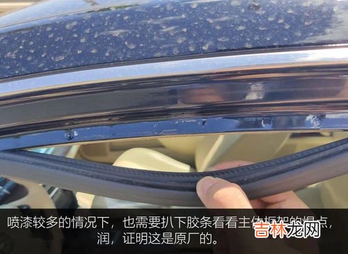 背户车什么意思,背户车是什么意思?
