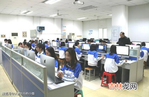 女生大学毕业找工作太难，该如何解决,毕业生找工作很难选择怎么办？