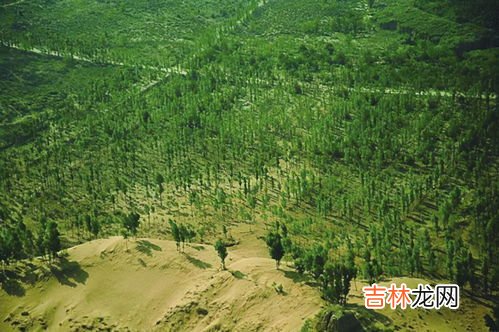 三北防护林开始于哪一年,三北防护林是哪三北?