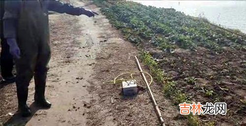 自家鱼塘电鱼,在自家池塘电鱼违法吗