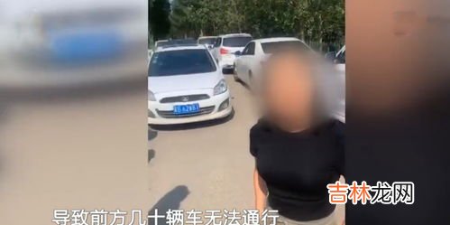 把自己家给砸了,没离婚把自己家砸了犯法吗