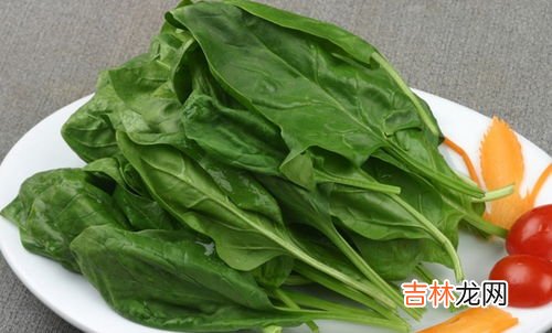 菠菜和虾能一起吃吗,菠菜和虾仁可以一起吃吗