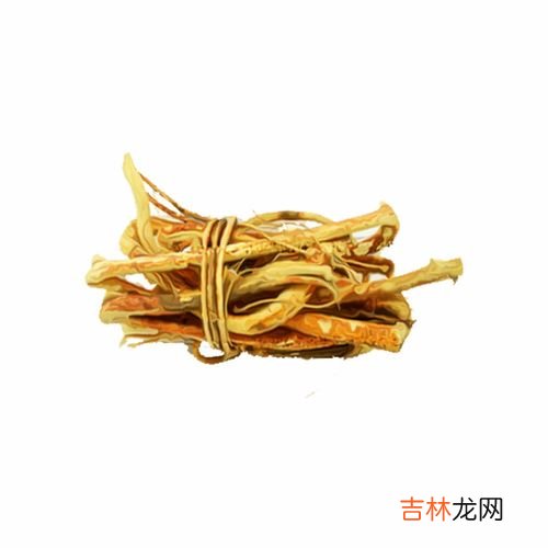 五指毛桃根的功效与作用,五指毛桃根有哪些功效