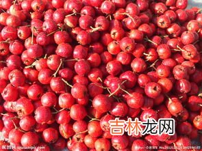 吃山楂有什么好处,山楂有哪些功效与作用
