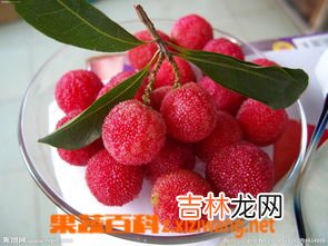 杨梅和蓝莓可以一起吃吗,蓝莓和杨梅可以一起吃吗 蓝莓和杨梅相克吗
