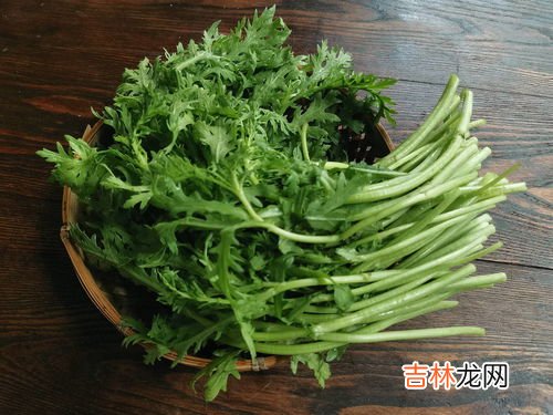 根菜类有哪些蔬菜,根菜类蔬菜有哪些？