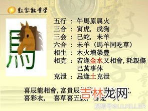 欲钱买表情是什么生肖,欲钱买天生好动的指什么生肖
