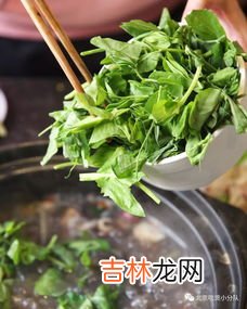 豌豆尖是只有四川有吗,豌豆颠儿普通话里叫什么