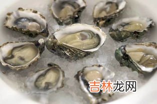 海蛎子和生蚝的区别,海蛎子和生蚝有什么区别吗？