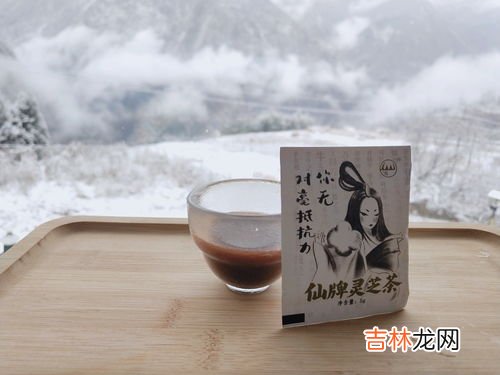 仙牌灵芝茶的功效与作用,灵芝茶的功效与作用