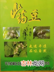 山药豆的功效与作用,山药豆子的营养价值