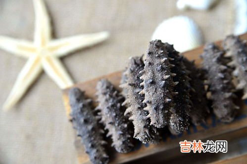 海参的好坏怎么鉴别,海参怎么区分好坏?