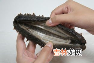 海参的好坏怎么鉴别,海参怎么区分好坏?