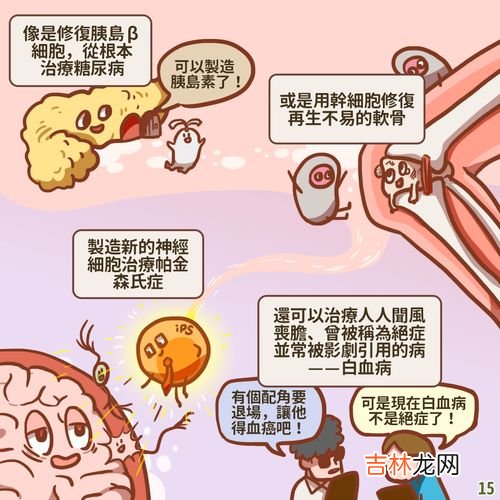 储存干细胞有必要吗,胚胎间充质干细胞有必要储存吗？