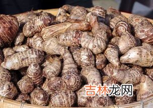 吃芋头的好处和坏处,芋头的功效与作用及副作用 芋头的禁忌人群