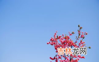 平年和闰年的区别,什么是平年什么是闰年怎么区分？