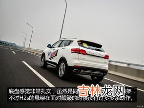 h2s是什么气味,h2s是什么酸?