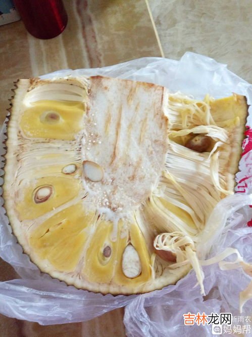 切开的半个菠萝蜜怎么保存,菠萝蜜剥开吃不完怎么保存 菠萝蜜剥开吃不完的保存方法