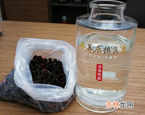 桑椹泡酒桑椹要水洗吗,桑椹酒的泡制方法