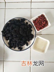 桑葚膏哪些人不能吃,什么人不可以吃桑椹膏