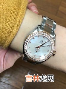 欧米茄镶钻女表机械表价格,欧米茄 星座系列 123.15.24.60.55.005多少钱？