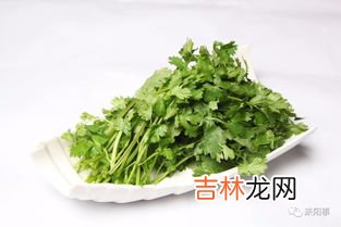 香菜吃多了,香菜吃多了有什么坏处