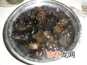 木耳水饺冷冻有毒吗,木耳煮熟后调水饺馅冷冻起来可以吗