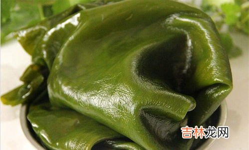 海带的功效与作用,海带的功效与作用