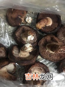 香菇泡多久就不能吃了,香菇泡了三天还能吃吗 香菇泡了三天还可以吃吗