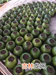 小青柑的功效与作用,小青柑的功效与作用