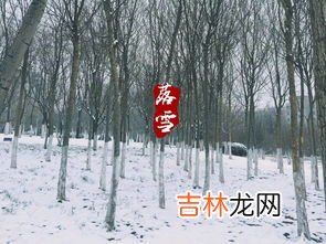 下雪的好处,下雪的好处有什么