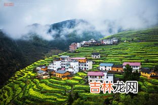 浙江衢州开化油菜花海真的可以媲美婺源,春游去哪:国内人少景美的油菜花田