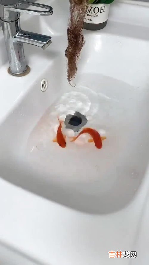 下水道堵了怎么办,下水管道堵塞如何疏通？