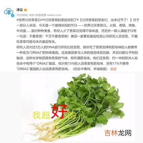 讨厌香菜,为什么有人讨厌香菜,而有的人却特爱吃?