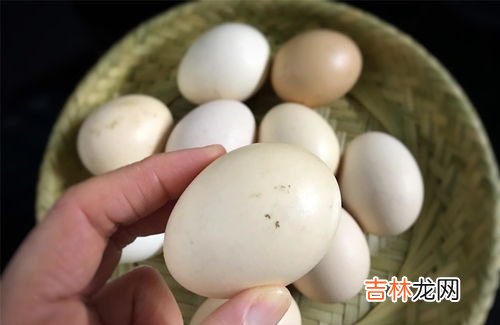 怎么判断鸡蛋坏没坏,怎么辨别鸡蛋的好坏
