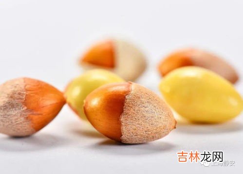 白果的食用方法和禁忌,白果的食用方法