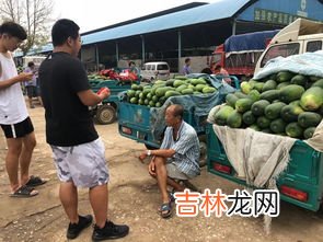传统农业社会是什么社会,什么是传统社会,什么是现代社会