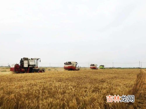 传统农业社会是什么社会,什么是传统社会,什么是现代社会