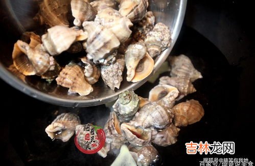 海螺怎么煮鲜嫩不老,海螺怎么煮?