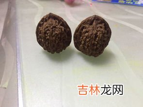 文玩黄金甲是什么,黄金甲手串是什么材质