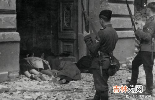 黑热病是什么,黑热病是通过什么传播的