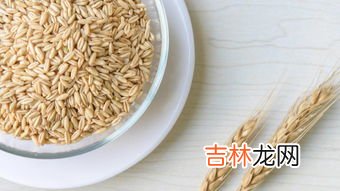 燕麦片的功效与作用及食用方法,燕麦米的功效与作用及食用方法禁忌是什么？