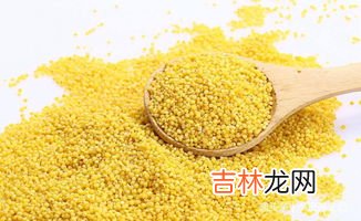燕麦片的功效与作用及食用方法,燕麦米的功效与作用及食用方法禁忌是什么?