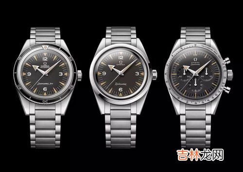 欧米茄手表8位编号查询,欧米茄八位序列号查不到怎么办