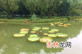 西湖的12个著名景点,西湖有哪些著名景点