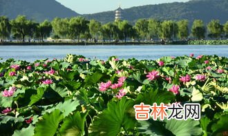 西湖的12个著名景点,西湖有哪些著名景点