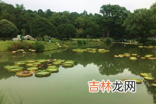 西湖的12个著名景点,西湖有哪些著名景点