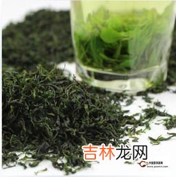 苦丁茶的功效与作用,苦丁茶的功效和作用 苦丁茶的功效和作用有哪些